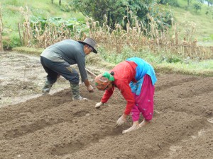 Preparing Soil