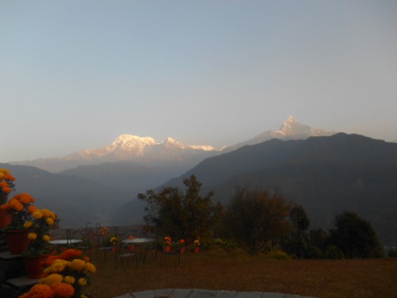Himalayan view with merigold