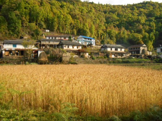 dhampus village